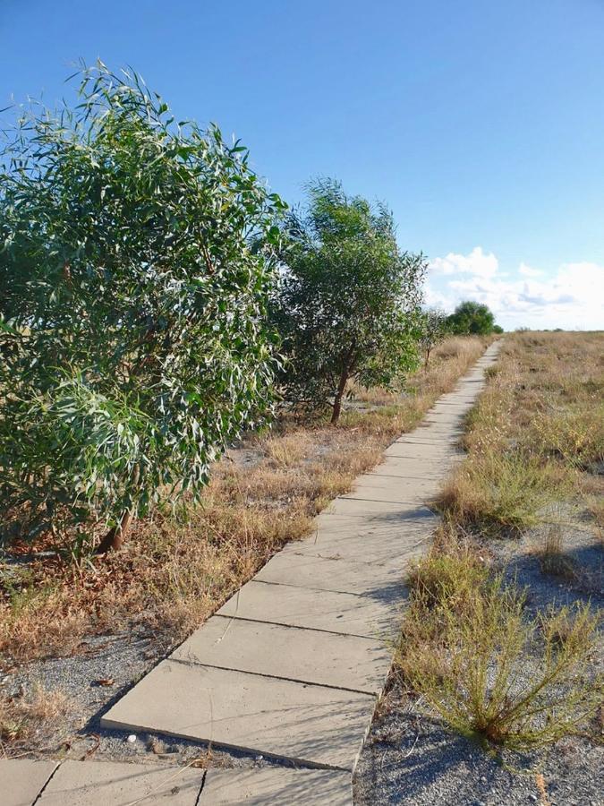 Vista Mare Su Tre Piani Con Giardino Falerna Exterior foto